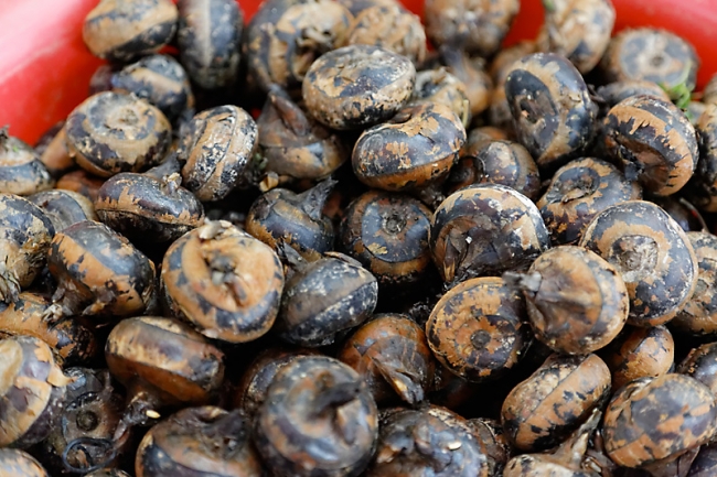 Ho Chi Minh ville-023